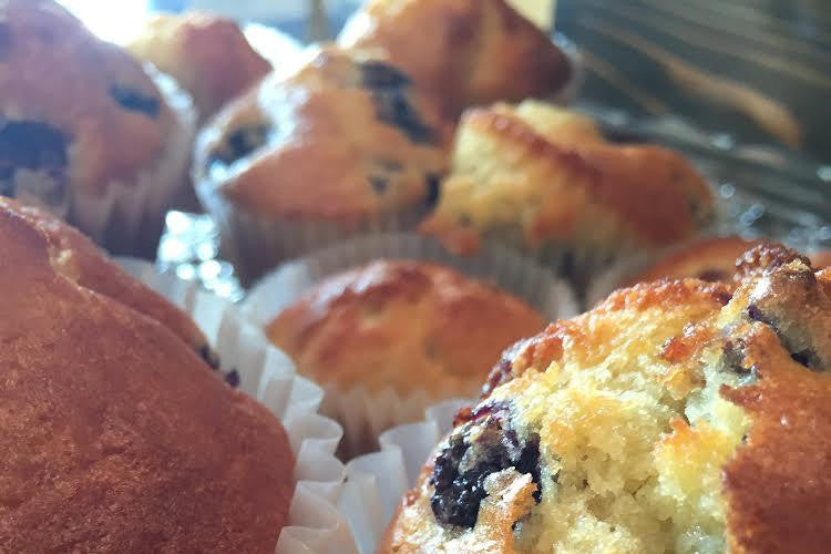 Blueberry Muffins