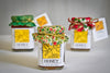 Honey Jar with Holiday Wrap (Clover)