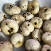 Sea Salt Popped Lotus Seeds